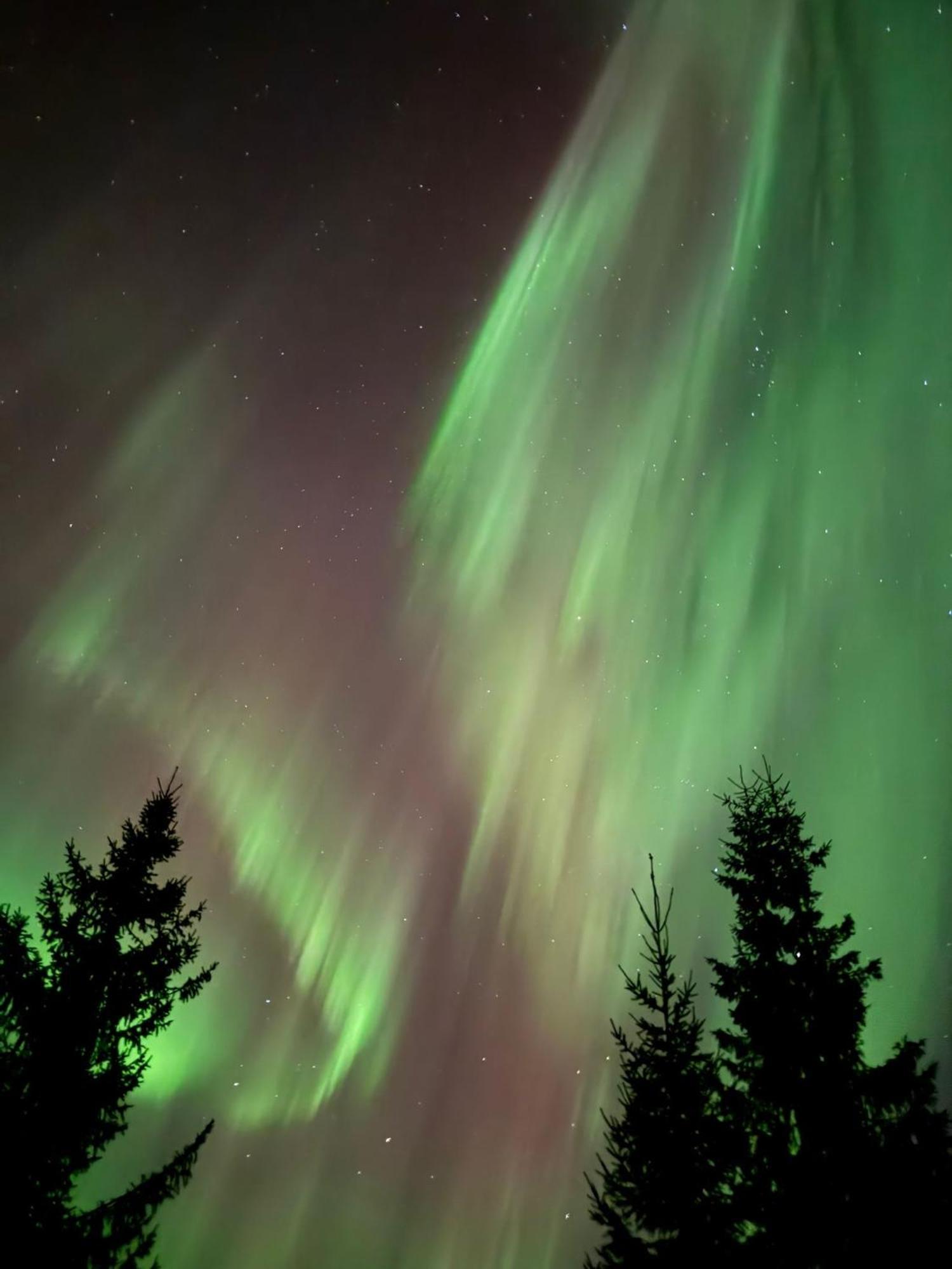 Arctic Resort Delight Rovaniemi Ngoại thất bức ảnh